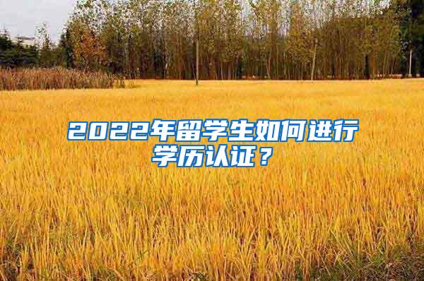 2022年留学生如何进行学历认证？