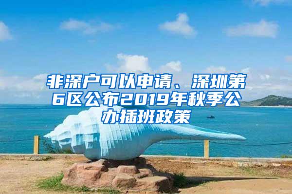 非深户可以申请、深圳第6区公布2019年秋季公办插班政策