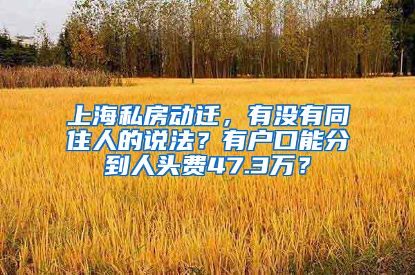 上海私房动迁，有没有同住人的说法？有户口能分到人头费47.3万？