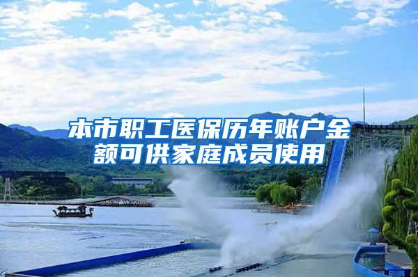 本市职工医保历年账户金额可供家庭成员使用