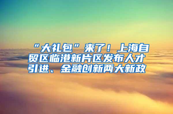 “大礼包”来了！上海自贸区临港新片区发布人才引进、金融创新两大新政