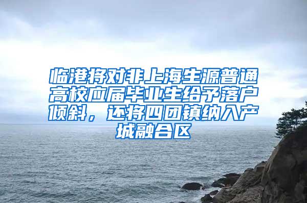 临港将对非上海生源普通高校应届毕业生给予落户倾斜，还将四团镇纳入产城融合区