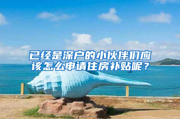 已经是深户的小伙伴们应该怎么申请住房补贴呢？