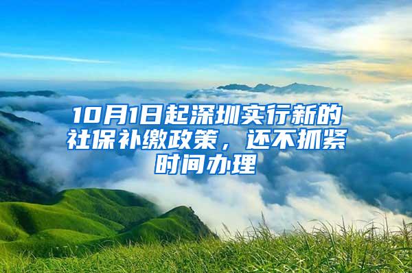 10月1日起深圳实行新的社保补缴政策，还不抓紧时间办理