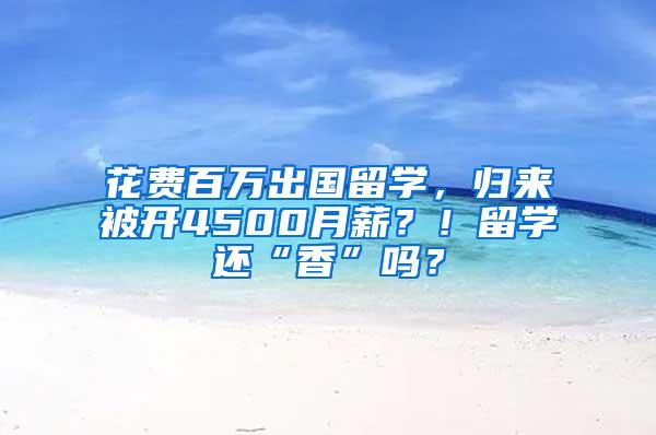 花费百万出国留学，归来被开4500月薪？！留学还“香”吗？