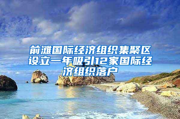 前滩国际经济组织集聚区设立一年吸引12家国际经济组织落户