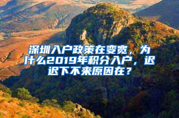 深圳入户政策在变宽，为什么2019年积分入户，迟迟下不来原因在？