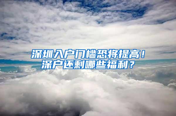 深圳入户门槛恐将提高！深户还剩哪些福利？