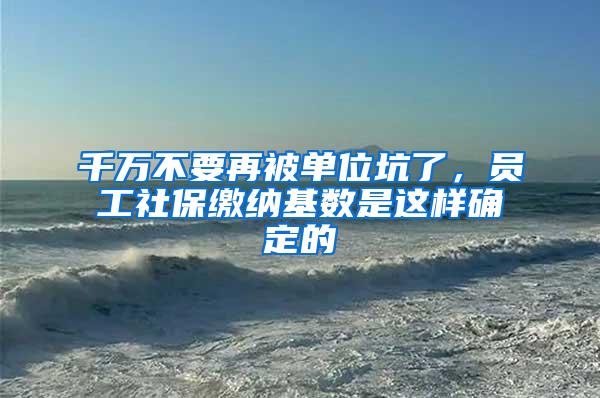 千万不要再被单位坑了，员工社保缴纳基数是这样确定的