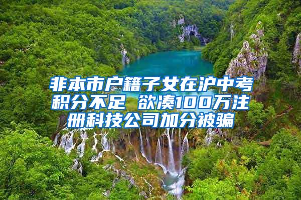 非本市户籍子女在沪中考积分不足 欲凑100万注册科技公司加分被骗