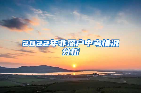 2022年非深户中考情况分析