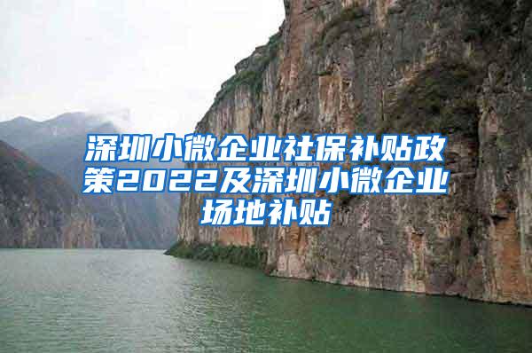 深圳小微企业社保补贴政策2022及深圳小微企业场地补贴