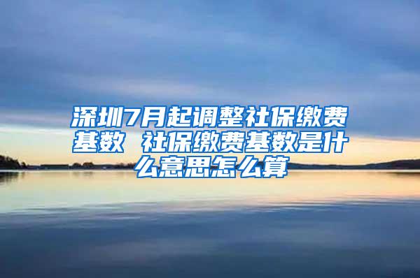 深圳7月起调整社保缴费基数 社保缴费基数是什么意思怎么算