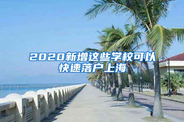 2020新增这些学校可以快速落户上海