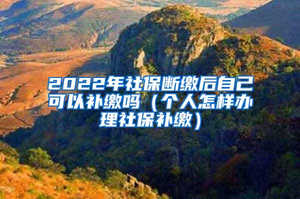 2022年社保断缴后自己可以补缴吗（个人怎样办理社保补缴）