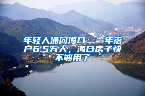 年轻人涌向海口：一年落户6.5万人，海口房子快不够用了