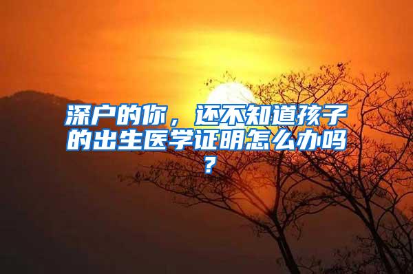 深户的你，还不知道孩子的出生医学证明怎么办吗？