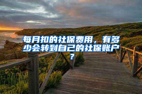 每月扣的社保费用，有多少会转到自己的社保账户？