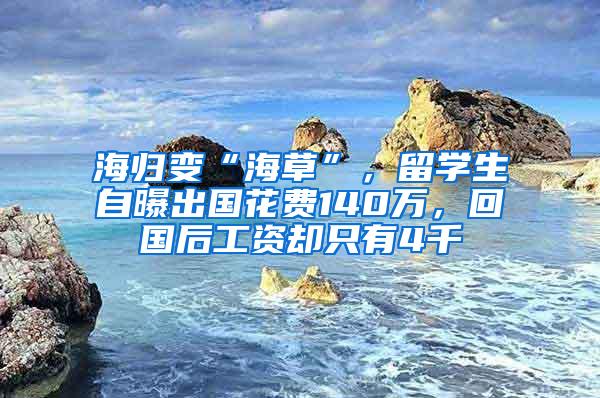 海归变“海草”，留学生自曝出国花费140万，回国后工资却只有4千