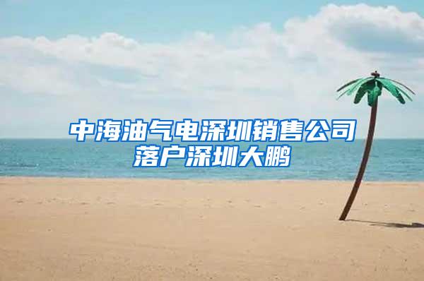 中海油气电深圳销售公司落户深圳大鹏