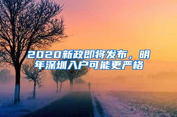 2020新政即将发布，明年深圳入户可能更严格