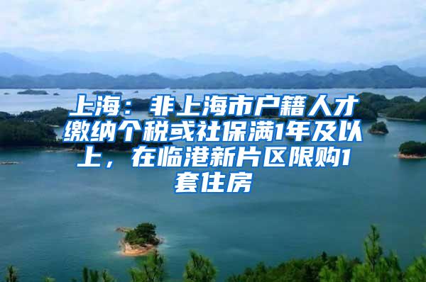 上海：非上海市户籍人才缴纳个税或社保满1年及以上，在临港新片区限购1套住房