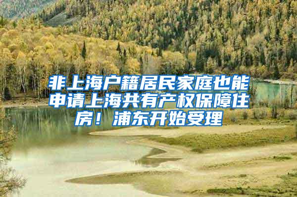 非上海户籍居民家庭也能申请上海共有产权保障住房！浦东开始受理