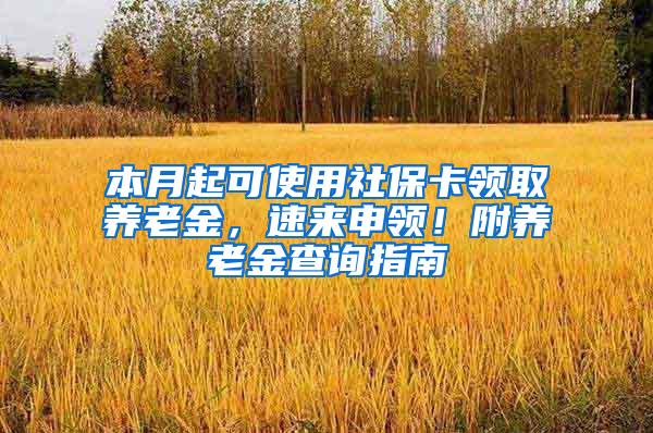 本月起可使用社保卡领取养老金，速来申领！附养老金查询指南→