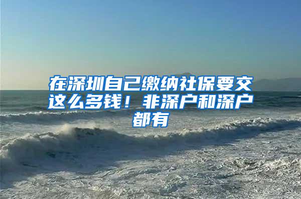 在深圳自己缴纳社保要交这么多钱！非深户和深户都有