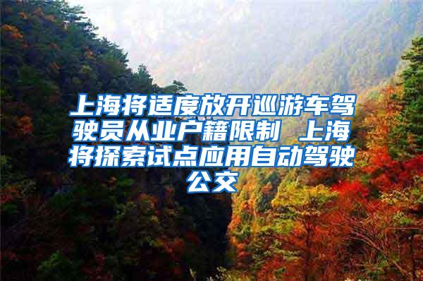 上海将适度放开巡游车驾驶员从业户籍限制 上海将探索试点应用自动驾驶公交