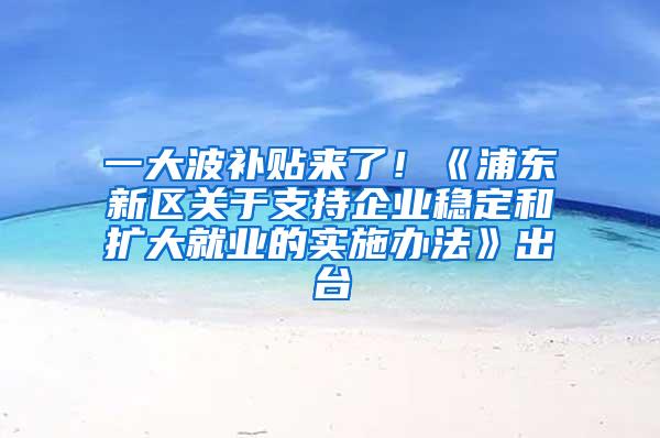 一大波补贴来了！《浦东新区关于支持企业稳定和扩大就业的实施办法》出台