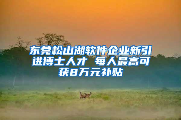 东莞松山湖软件企业新引进博士人才 每人最高可获8万元补贴