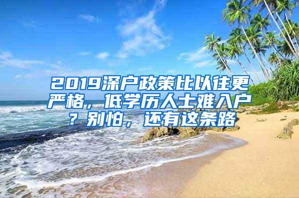 2019深户政策比以往更严格，低学历人士难入户？别怕，还有这条路