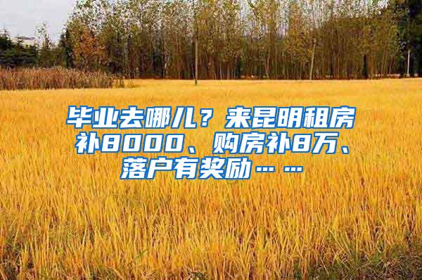 毕业去哪儿？来昆明租房补8000、购房补8万、落户有奖励……