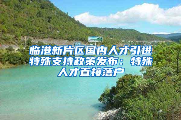 临港新片区国内人才引进特殊支持政策发布：特殊人才直接落户