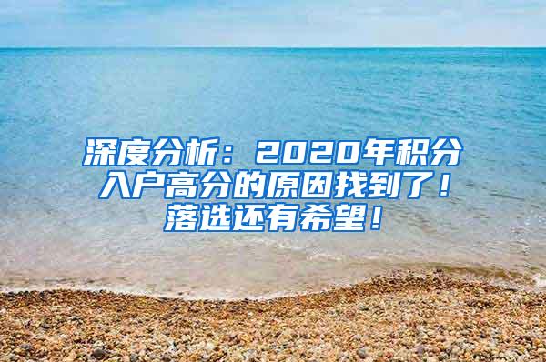 深度分析：2020年积分入户高分的原因找到了！落选还有希望！