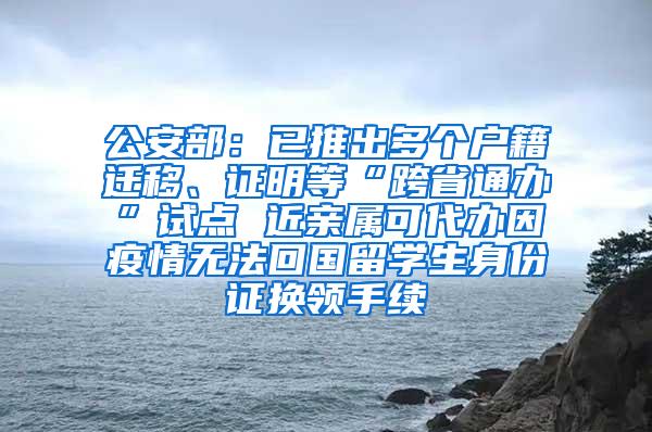 公安部：已推出多个户籍迁移、证明等“跨省通办”试点 近亲属可代办因疫情无法回国留学生身份证换领手续