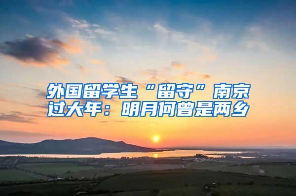 外国留学生“留守”南京过大年：明月何曾是两乡