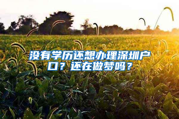 没有学历还想办理深圳户口？还在做梦吗？