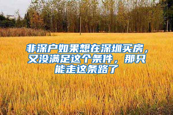 非深户如果想在深圳买房，又没满足这个条件，那只能走这条路了