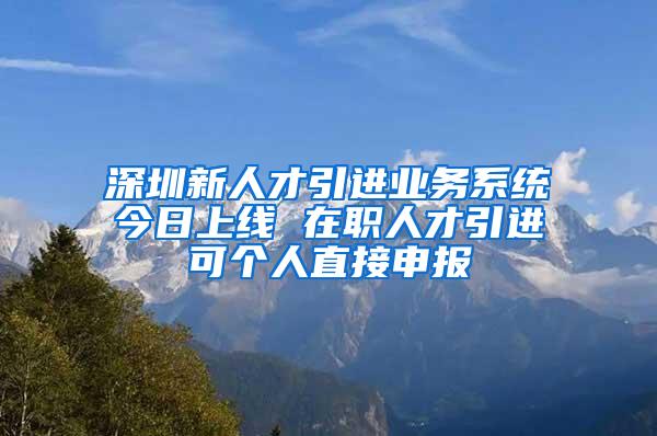 深圳新人才引进业务系统今日上线 在职人才引进可个人直接申报