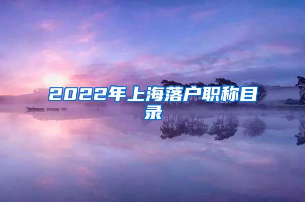 2022年上海落户职称目录