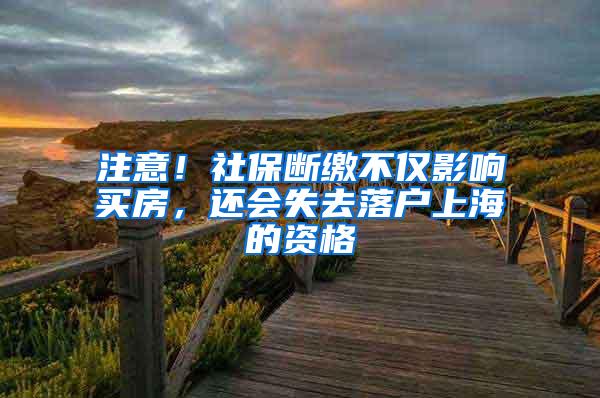 注意！社保断缴不仅影响买房，还会失去落户上海的资格