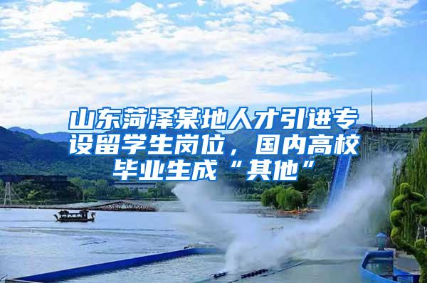 山东菏泽某地人才引进专设留学生岗位，国内高校毕业生成“其他”