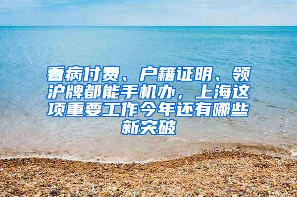 看病付费、户籍证明、领沪牌都能手机办，上海这项重要工作今年还有哪些新突破