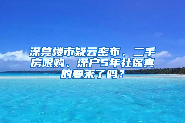 深莞楼市疑云密布，二手房限购、深户5年社保真的要来了吗？