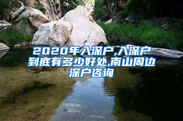 2020年入深户,入深户到底有多少好处,南山周边深户咨询