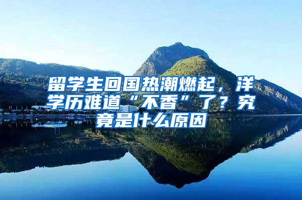 留学生回国热潮燃起，洋学历难道“不香”了？究竟是什么原因