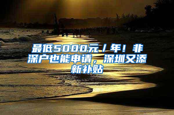 最低5000元／年！非深户也能申请，深圳又添新补贴