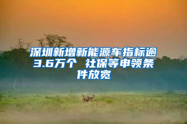 深圳新增新能源车指标逾3.6万个 社保等申领条件放宽